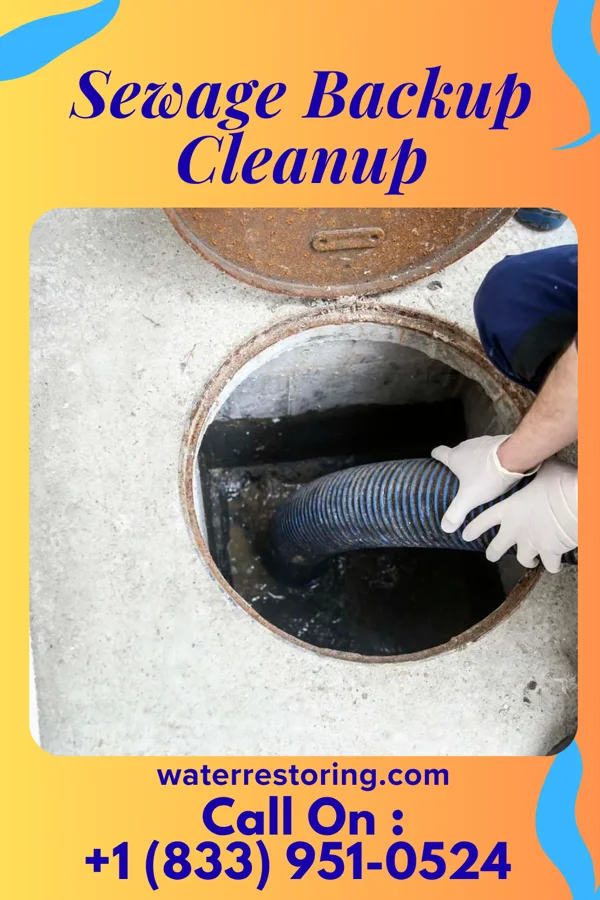 Sewage Backup Cleanup in Rest Haven, GA