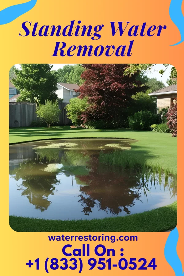 Standing Water Removal in Rest Haven, GA